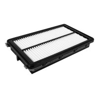 FILTRON AP 198/4 Luftfilter