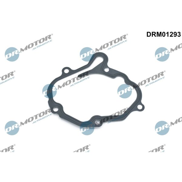 Dr.Motor Automotive DRM01293 Dichtung, Unterdruckpumpe