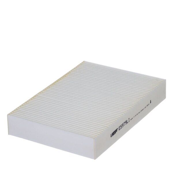 HENGST FILTER E5979LI Filter, Innenraumluft