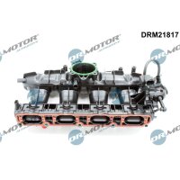 Dr.Motor Automotive DRM21817 Saugrohrmodul