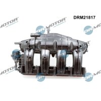 Dr.Motor Automotive DRM21817 Saugrohrmodul
