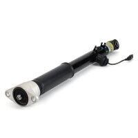 Arnott SK-3560 Stoßdämpfer