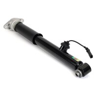 Arnott SK-3560 Stoßdämpfer