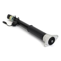 Arnott SK-3561 Stoßdämpfer