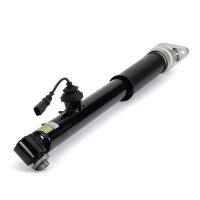 Arnott SK-3561 Stoßdämpfer