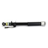 Arnott SK-3561 Stoßdämpfer