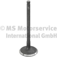 TRW Engine Component 769000 Einlassventil
