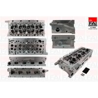 FAI AutoParts BCH135 Zylinderkopf