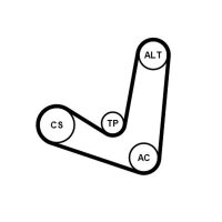CONTINENTAL CTAM 6PK1244K2 Keilrippenriemensatz