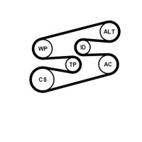 CONTINENTAL CTAM 6PK1780K2 Keilrippenriemensatz