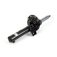 Arnott MR-3852 Stoßdämpfer