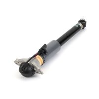 Arnott MR-3853 Stoßdämpfer