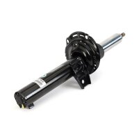 Arnott MR-3855 Stoßdämpfer