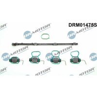 Dr.Motor Automotive DRM01475S Reparatursatz, Saugrohrmodul