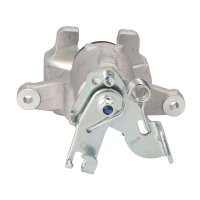 RAP BRAKES R-K0769 Bremssattel