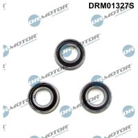Dr.Motor Automotive DRM01327S Dichtung, Düsenhalter