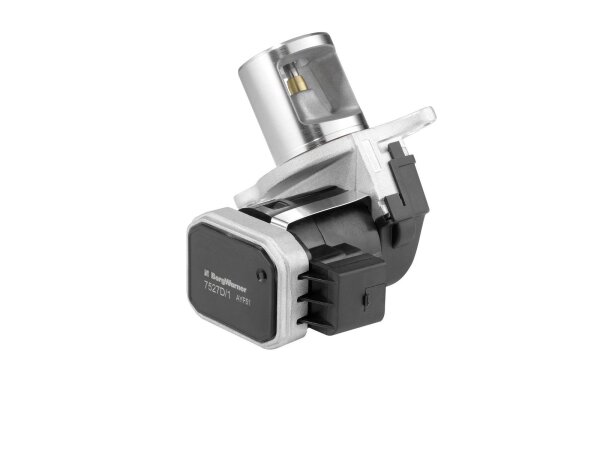 BorgWarner 7527D/1 AGR-Ventil