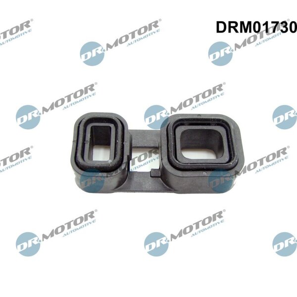 Dr.Motor Automotive DRM01730 Dichtung, Automatikgetriebe
