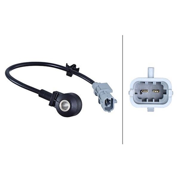 HELLA 6PG 013 114-381 Klopfsensor