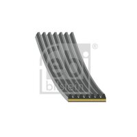 FEBI BILSTEIN 181285 Keilrippenriemen