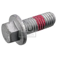 FEBI BILSTEIN 180961 Schraube, Bremssattel