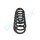 PROFLEX AUTOMOTIVE PX1-0326 Fahrwerksfeder