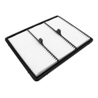 FILTRON AP 198/3 Luftfilter