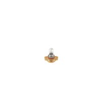 BOSCH 1 987 302 269 Glühlampe, Blinkleuchte