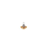 BOSCH 1 987 302 269 Glühlampe, Blinkleuchte
