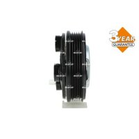 NRF 380141 Magnetkupplung, Klimakompressor