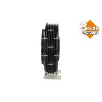 NRF 380160 Magnetkupplung, Klimakompressor