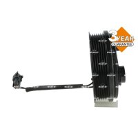NRF 380181 Magnetkupplung, Klimakompressor