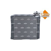 NRF 36191 Verdampfer, Klimaanlage