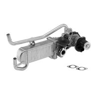 BorgWarner 710863D AGR-Modul