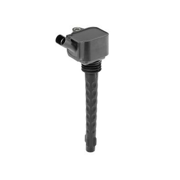 BorgWarner (BERU) ZS573 Zündspule