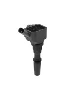 BorgWarner (BERU) ZS596 Zündspule