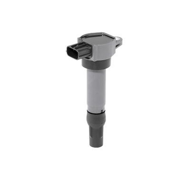 BorgWarner (BERU) ZSE206 Zündspule