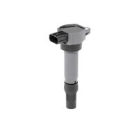 BorgWarner (BERU) ZSE206 Zündspule