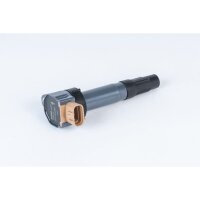 BorgWarner (BERU) ZSE211 Zündspule