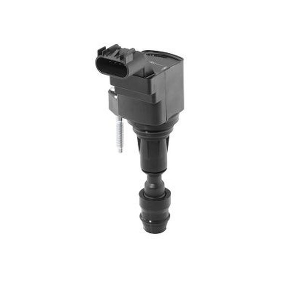 BorgWarner (BERU) ZSE212 Zündspule