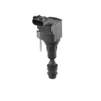 BorgWarner (BERU) ZSE212 Zündspule