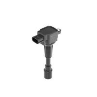 BorgWarner (BERU) ZSE216 Zündspule