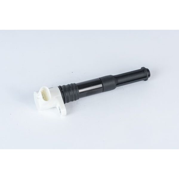 BorgWarner (BERU) ZSE219 Zündspule