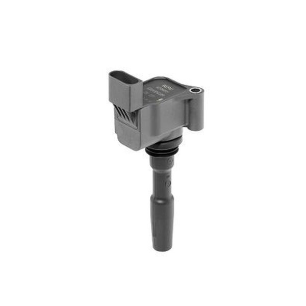 BorgWarner (BERU) ZSE223 Zündspule