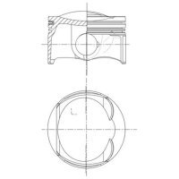 MAHLE 028 PI 00132 010 Kolben