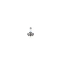 BOSCH 1 987 301 423 Glühlampe, Fernscheinwerfer