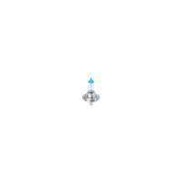 BOSCH 1 987 301 441 Glühlampe, Fernscheinwerfer