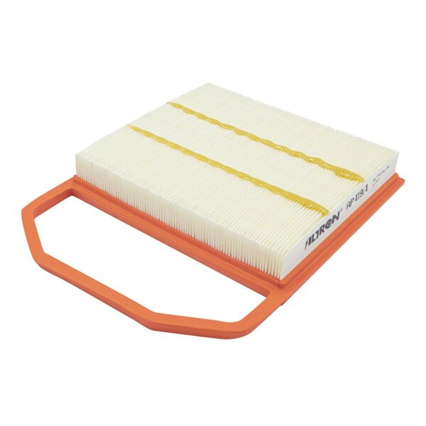 FILTRON AP 119/1 Luftfilter