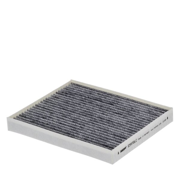 HENGST FILTER E5970LC Filter, Innenraumluft