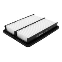 FILTRON AP 194/3 Luftfilter